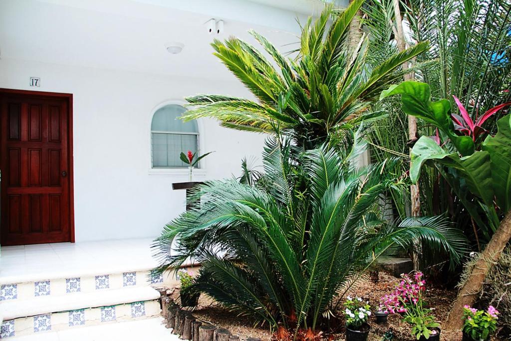 Отель Tropical Casablanca Party Zone Плая-дель-Кармен Экстерьер фото