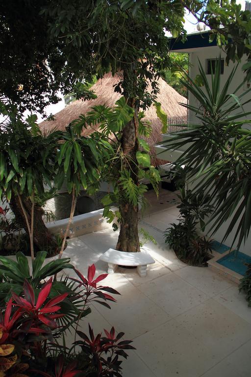 Отель Tropical Casablanca Party Zone Плая-дель-Кармен Экстерьер фото